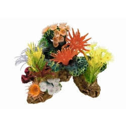 NOBBY: Aqua Ornament, CORAL STONE with Plants