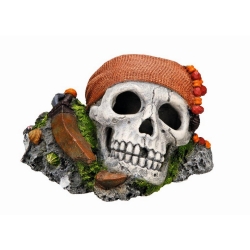 NOBBY: Aqua Ornament, PIRATE SCULL