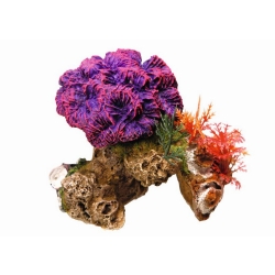 NOBBY: Aqua Ornament, CORAL STONE with Plants