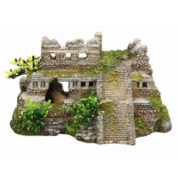 NOBBY: Aqua Ornament, MAYA RUIN with Plants
