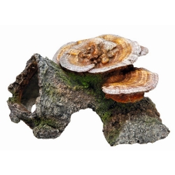 NOBBY: Aqua Ornament, WOOD NOBBY, Cave w/ MUSHROOMS