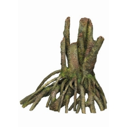 NOBBY: Aqua Ornament, ROOT