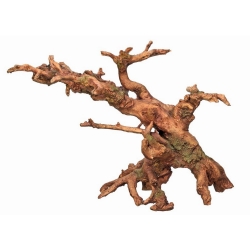 NOBBY: Aqua Ornament, Root