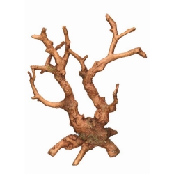 NOBBY: Aqua Ornament, Root