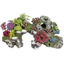 NOBBY: Aqua Ornament, CORAL w PLANTS