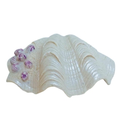 NOBBY: Aqua Ornaments SHELL