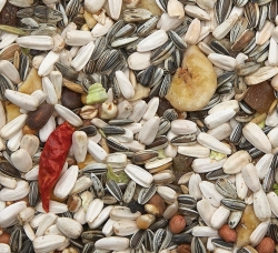 GREEN & BLUE- Parrot Mix, PREMIUM, 15kg