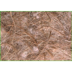 SISAL-Nest Material-Hair/Coconut/Cotton/Jute