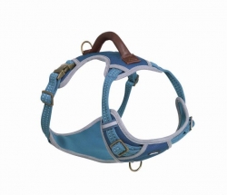 NOBBY: Harness SPORTY, S-M Blue