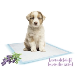 NOBBY: Training PADS, x10 L Lavender