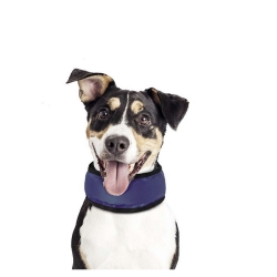 NOBBY: COOLING Loop L