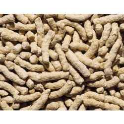 NOBBY: Pond Sticks, Natural natural