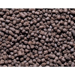 NOBBY: Sturgeon Food, Granulate