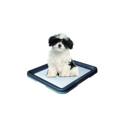 NOBBY: Doggy Trainer, S