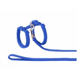 NOBBY SET: Cat Harness & Leash Blue