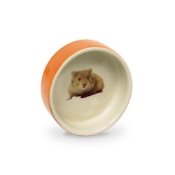 NOBBY: CERAMIC Dish, HAMSTER Orange