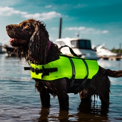 NOBBY: ERGONOMIC Dog Life Vest 2XL