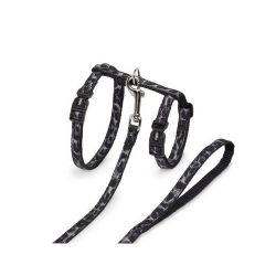 NOBBY: SET: Cat Leash+Collar XL LEO