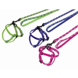 NOBBY: SET: Rabbit Harness & Leash CARROT Blue