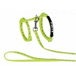 NOBBY-Set Λουρί+περιλαίμιο γάτας My BOSS Is