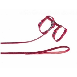 NOBBY-Set Λουρί+περιλαίμιο γάτας GLAMOUR