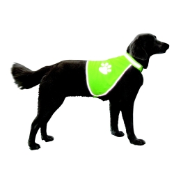 NOBBY: Dog Security Vest-GLOW