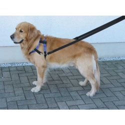 TOP WALK Επιστήθιο με Λουρί-Oδηγό, black