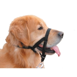 EASY LEADER Head Collar Black