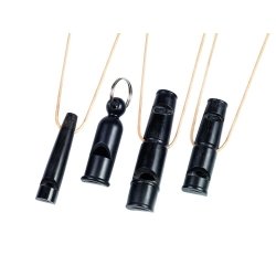 NOBBY: Training WHISTLE