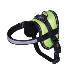 NOBBY-Επαγγελματικό Επιστήθιο SEGURO, mini