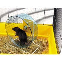 SAVIC: XL Rolly for Hamster