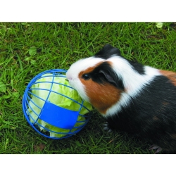 SAVIC: Rodent Ball Mixed colors