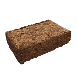 NOBBY: COCONUT Bedding