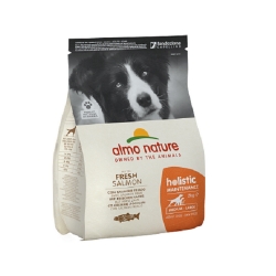 HOLISTIC-M-L size Adult, Fresh Salmon, 2kg