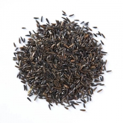 BLATTNER-ΝΙΖΕΡ υψηλής βλάστησης, 1kg