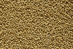 GREEN & BLUE-PERLA White, Breeding 3kg