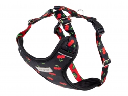 AMIPLAY-Ενιαίο Επιστήθιο Discovery BE HAPPY