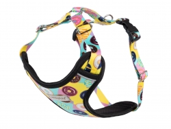 AMIPLAY-Ενιαίο Επιστήθιο Discovery BE HAPPY, M