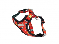 Discovery Harness AMIK, Small
