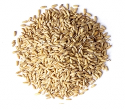 BLATTNER-ΒΡΩΜΗ υψηλής βλάστησης, 1kg