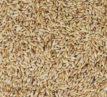 SUPREME: EXCELLENT CANARY Seed, 20kg