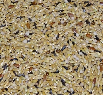 SUPREME: EXCELLENT Canary SOUTH + PERILLA, 20kg