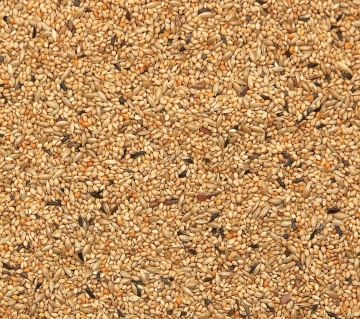 HOEBREGTS: Exotic Finch, 20kg