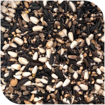 BLATTNER-Germination Mix CARDUELIS Major, 2,5kg