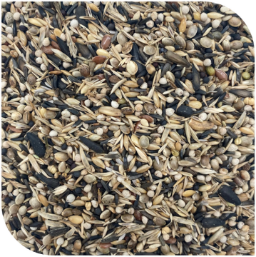 BLATTNER-Goldfinch Major ITALIA, 15kg