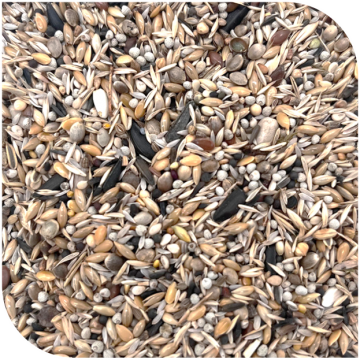 BLATTNER-Goldfinch Major BIANCO  (no niger), 15kg