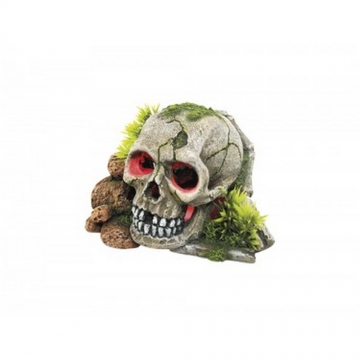 NOBBY: Aqua Ornament, SKULL with Plants, w/ LED