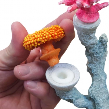 NOBBY: Aqua Ornaments CORALS, removable heads