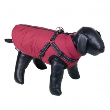 NOBBY-Dog Jacket SALUS 2 in 1