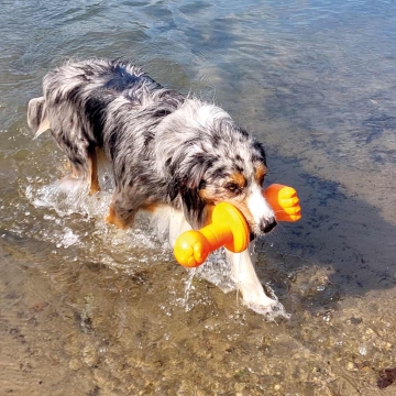 NOBBY: TPR Buoy Robbi